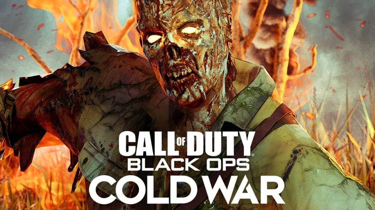 call of duty black ops zombies