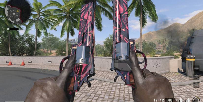 call of duty dual wield revolvers