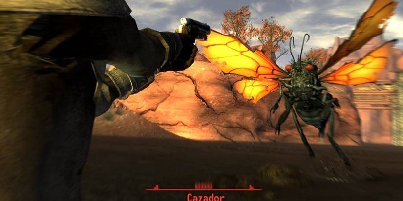 Fighting a Cazador Fallout New Vegas