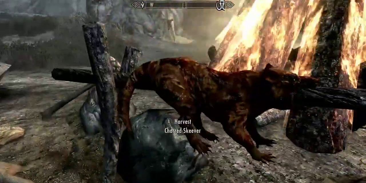 A charred skeever in Skyrim