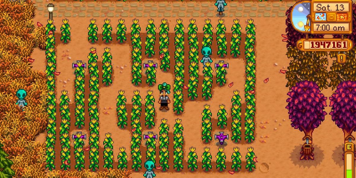 Corn in Stardew Valley