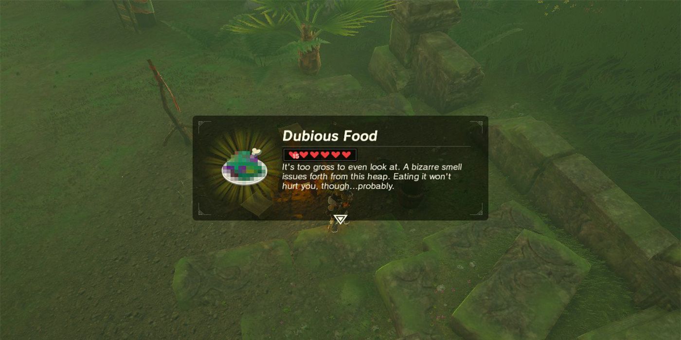 Dubious Food in The Legend of Zelda Tears of the Kingdom