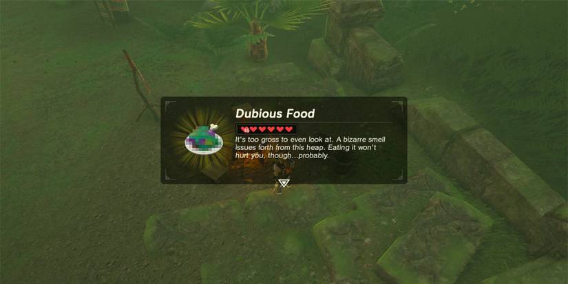 Dubious Food in The Legend of Zelda Tears of the Kingdom