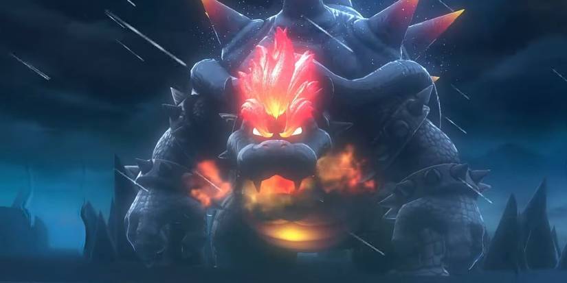 3D World, Fury Bowser
