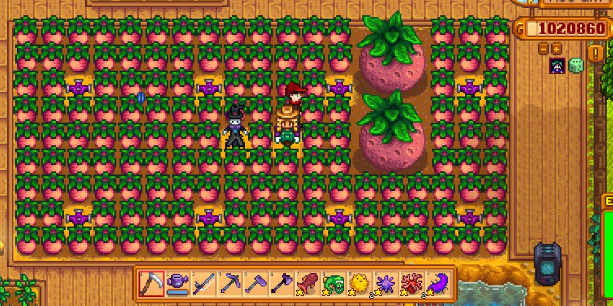 Melons in Stardew Valley that have turned into giant crops