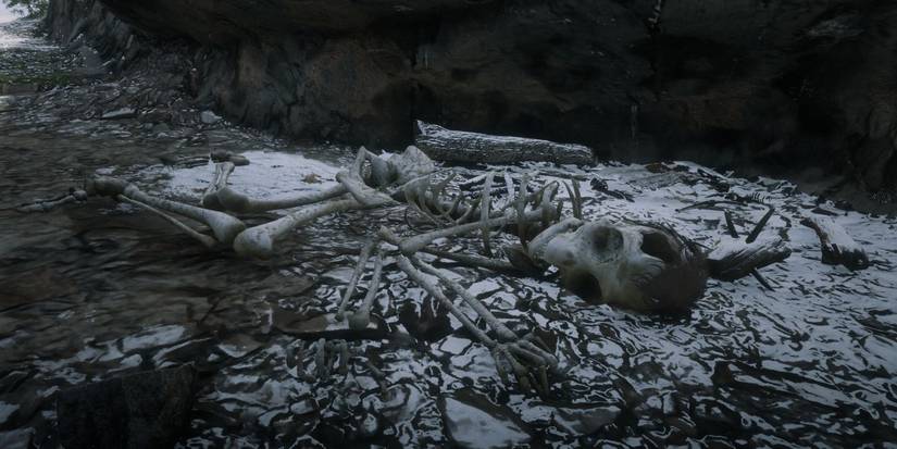 Red Dead Redemption 2 Giant Remains