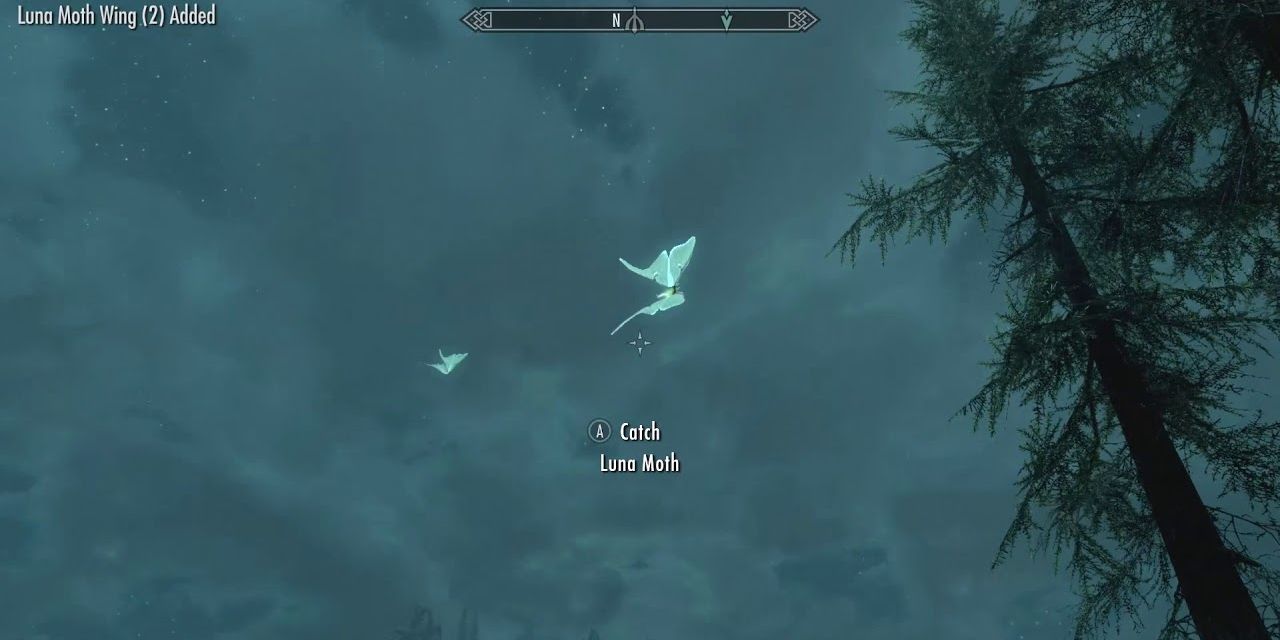 Skyrim player catching a luna moth