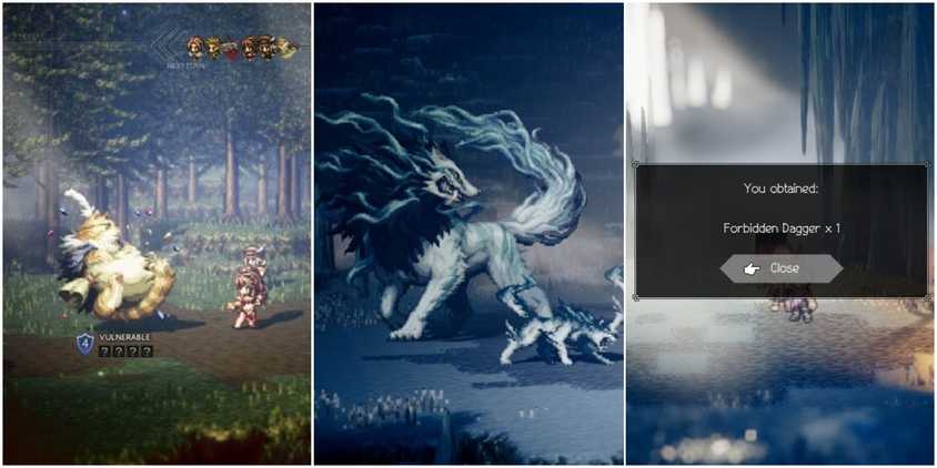 A Chubby Cait, the Dreadwolf, and the Forbidden Dagger