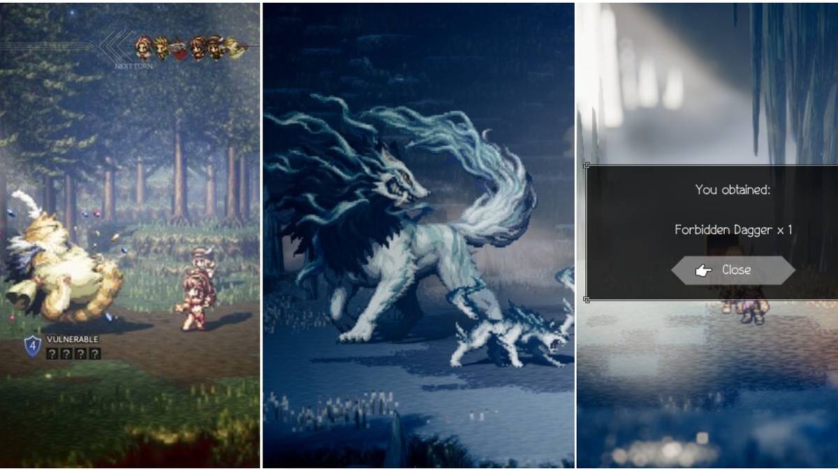 A Chubby Cait, the Dreadwolf, and the Forbidden Dagger