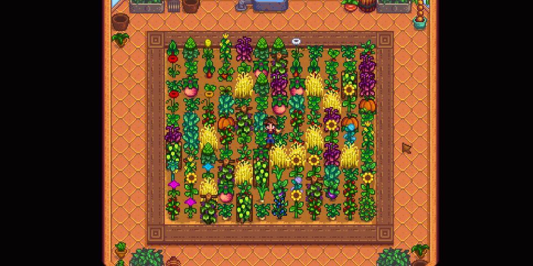 The greenhouse with a mixture of crops