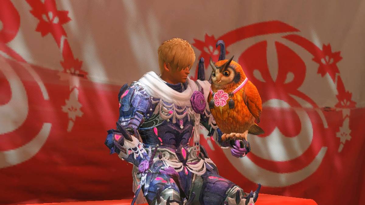 hunter in monster hunter rise with cahoot