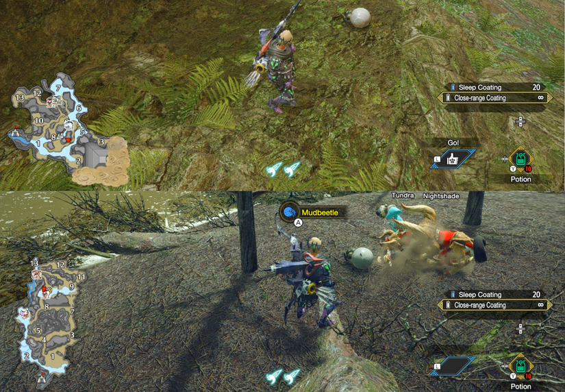 shrine ruins and flooded forest mud beetles