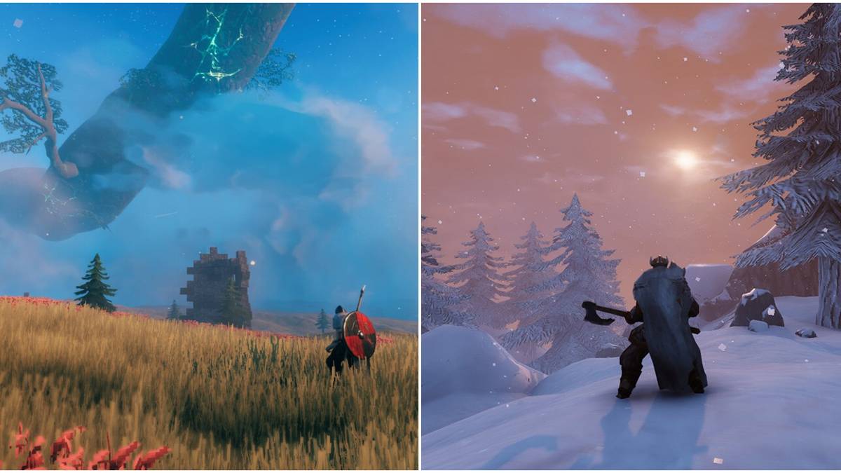 Snow, tree landscape