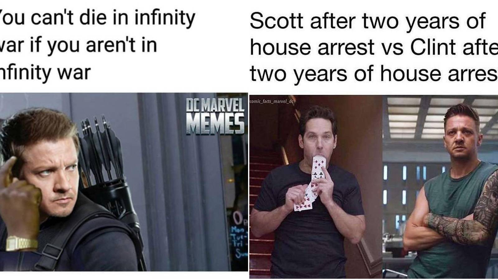 Hawkeye meme feature