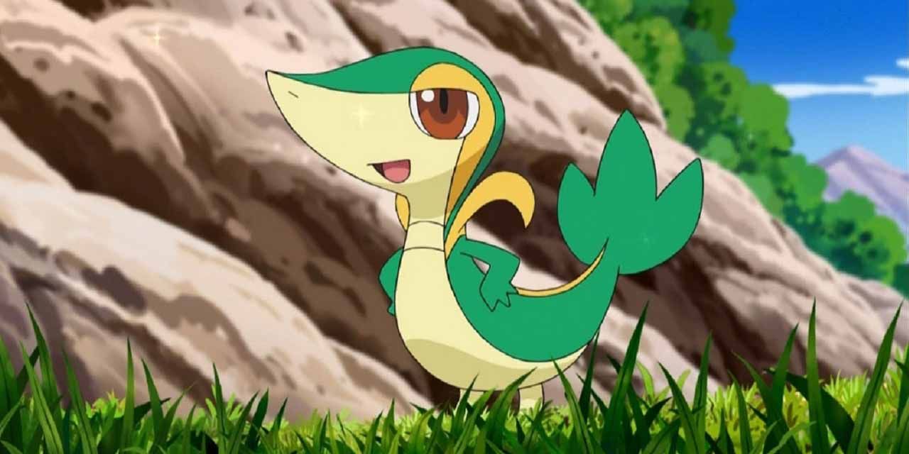 Snivy was given the nickname "Smugleaf" to to his often self-satisfied appearance