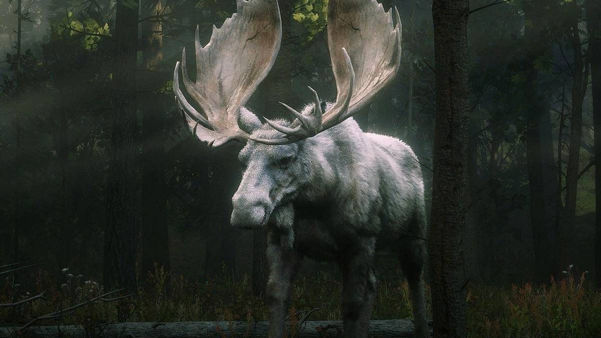 Goose Rdr2 Red Dead Redemption 2 Legendary Moose Dies In Unexpected Way