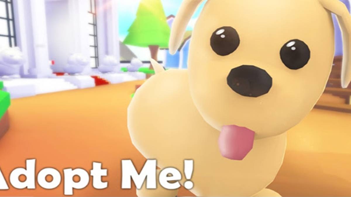 Adopt Me