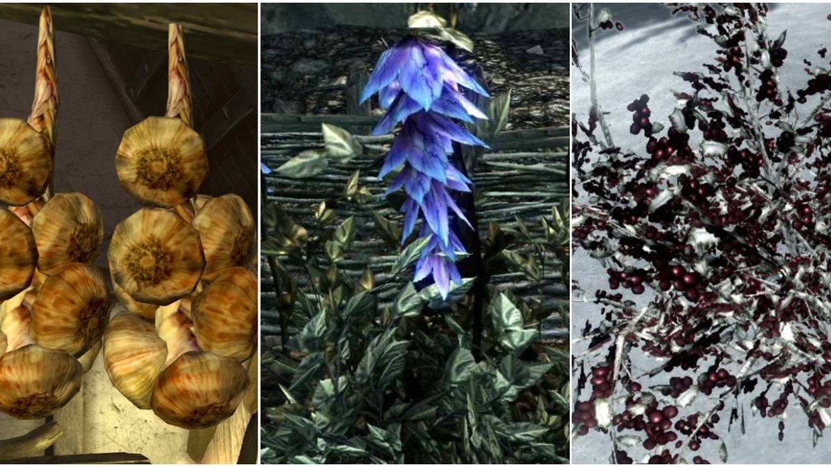 Garlic, Deathbell, and Snowberries