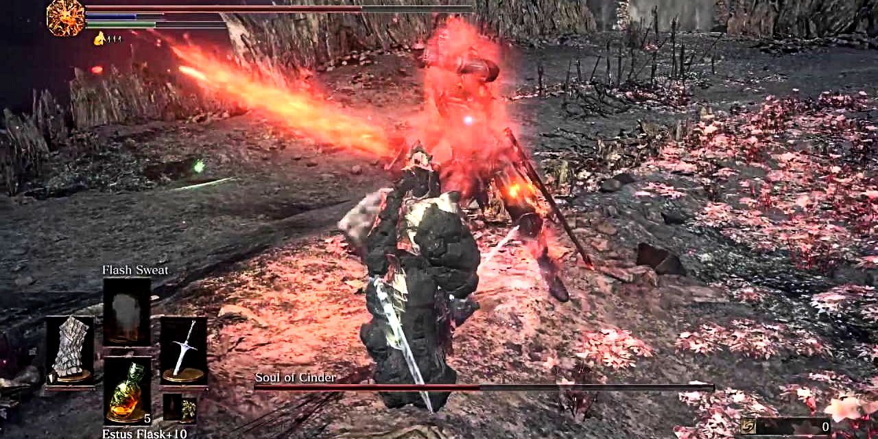 player fighting the final boss with the havel greatshield's special effect.