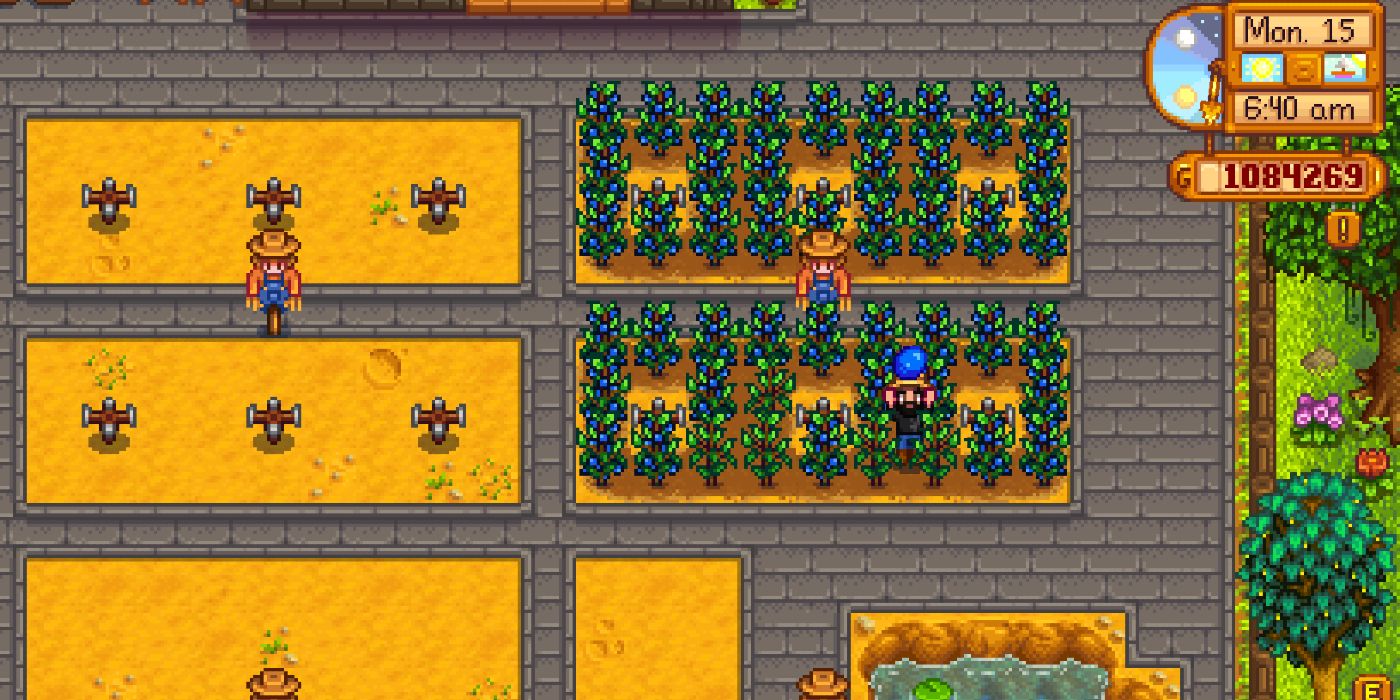 Stardew Valley player harvesting blueberries