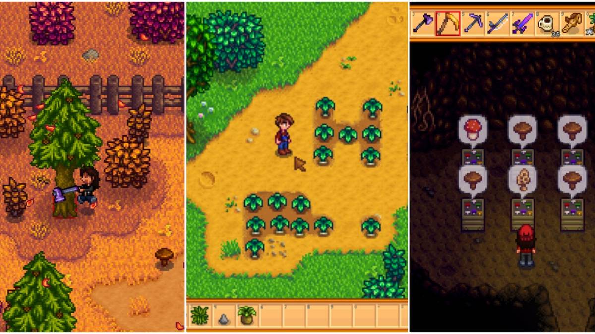 stardew-foraging-tips