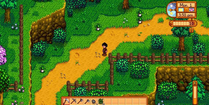 Player foraging leeks in Stardew Valley