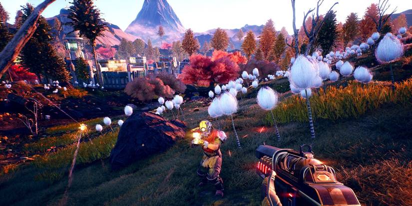 The Outer World Combat in Field of Dandellions