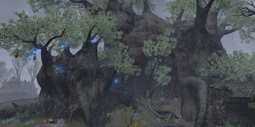 10 Things About The Hist Argonian Gender