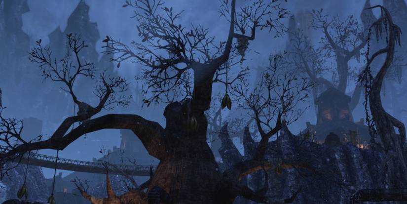 10 Things About The Hist Haj Uxith