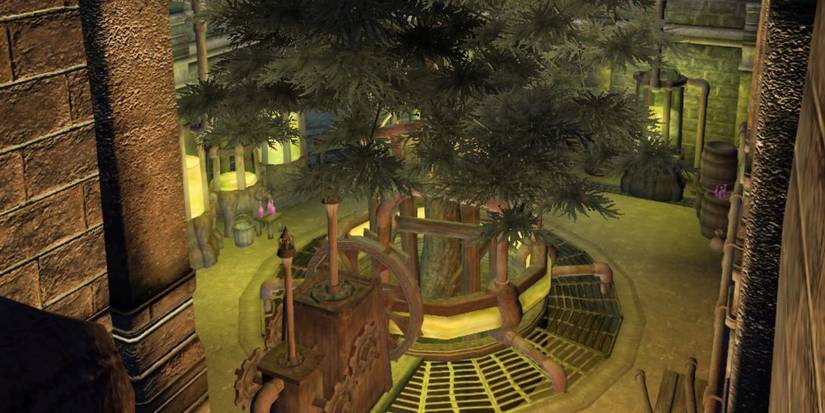 10 Things About The Hist Tree Sap