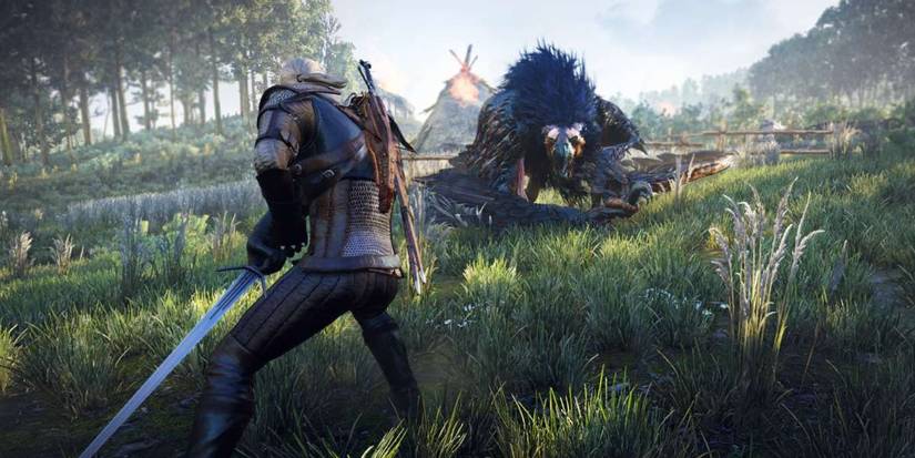 Geralt fighting griffon.