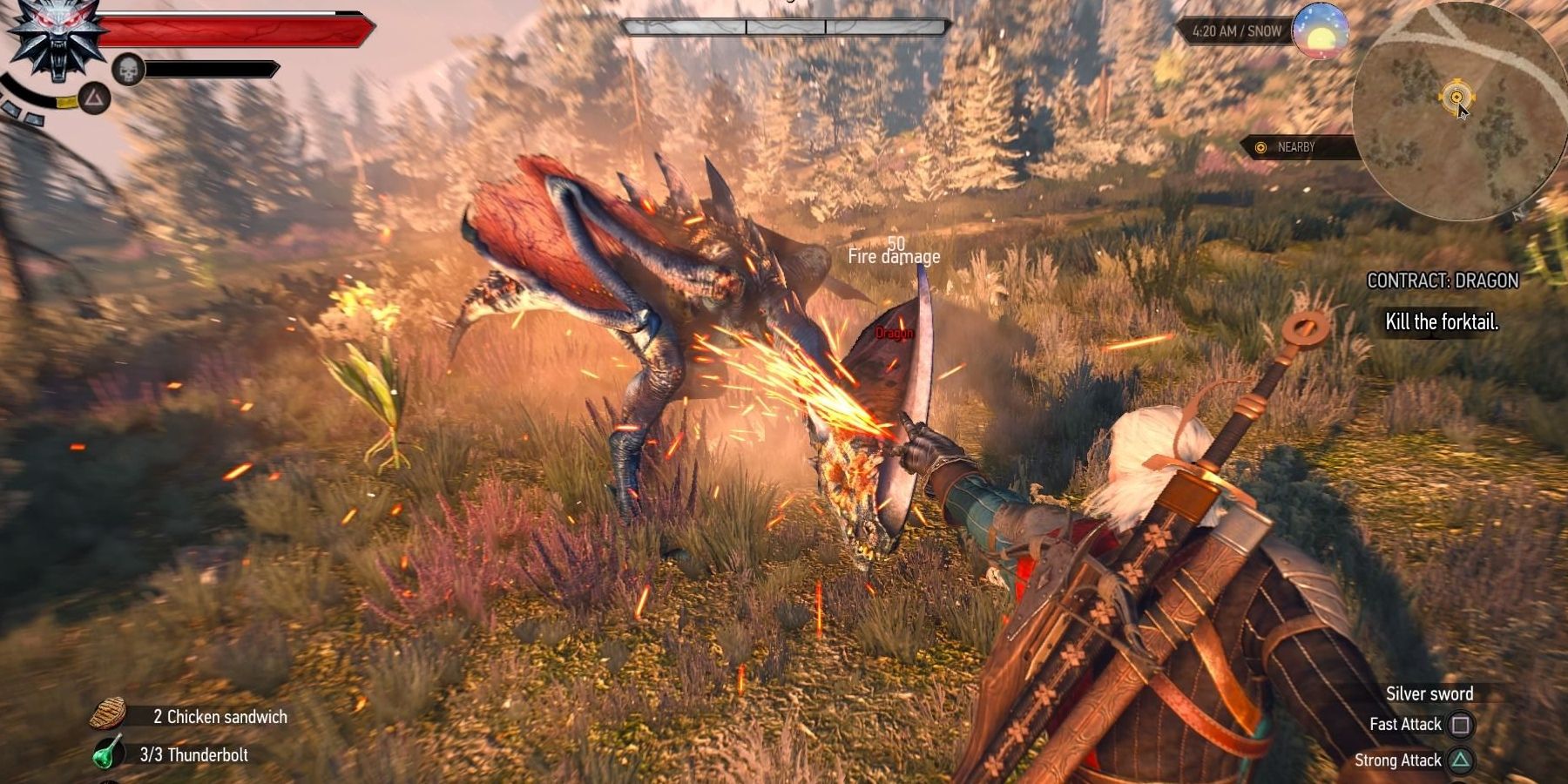 Geralt mighting monster.