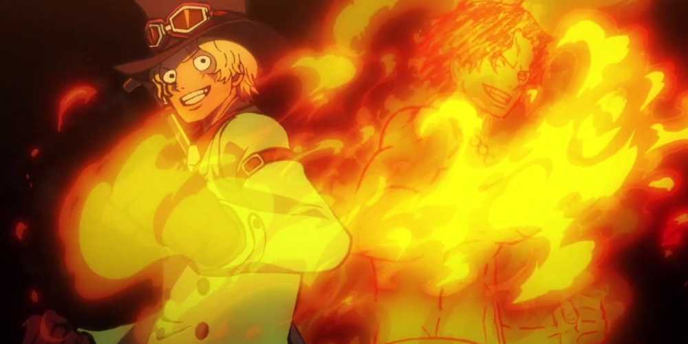 One Piece Ann's Bijo Bijo no Mi