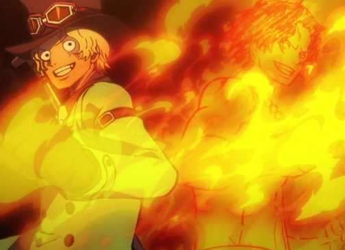 One Piece: 8 Pengguna Senjata Terkuat yang Bukan Pendekar Pedang, Diurutkan 10 One Piece Ann's Bijo Bijo no Mi