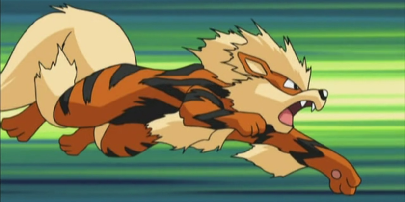 Pokemon Arcanine