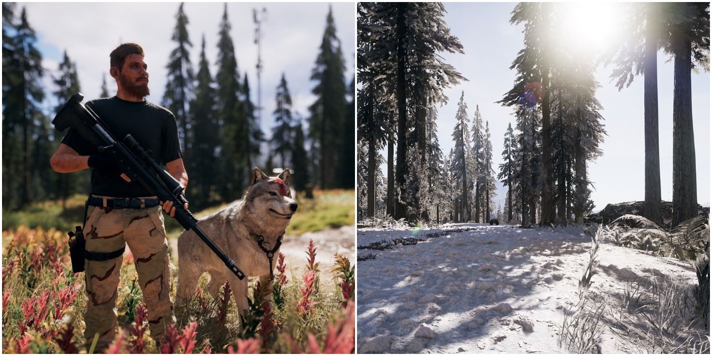 Far Cry 5 Mods Pc