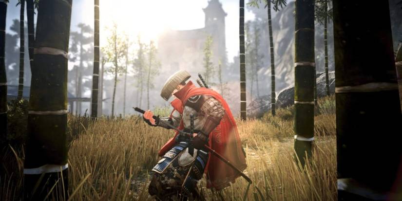 Black Desert Online Ninja Sheathe