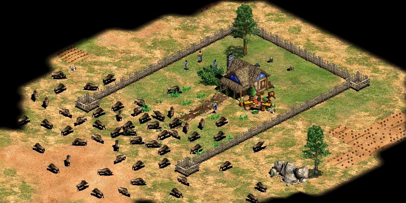cheats for age of empires 2