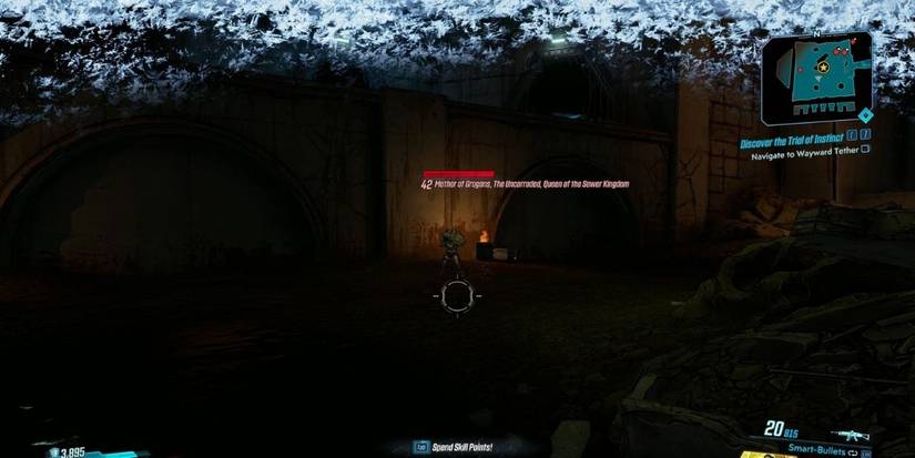 Mother of Grogans in Borderlands 3