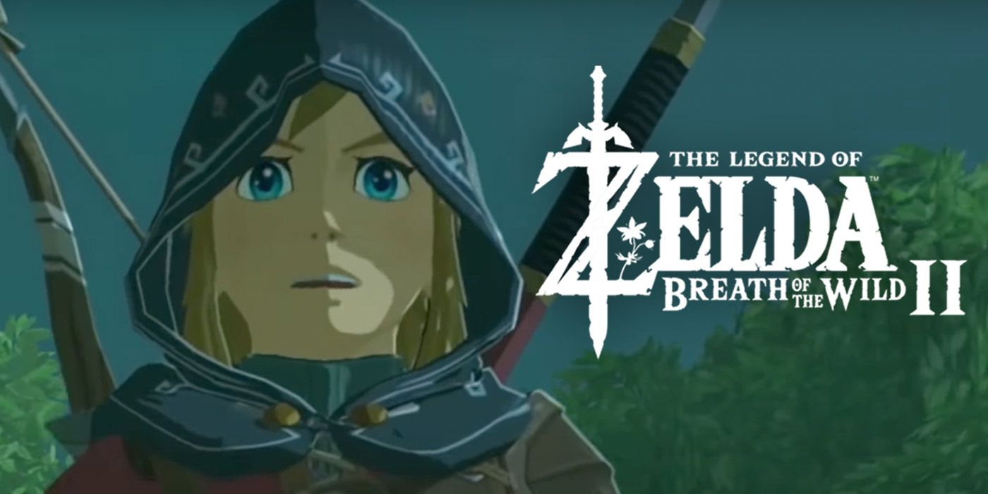 Breath Of The Wild 2 Link Shocked