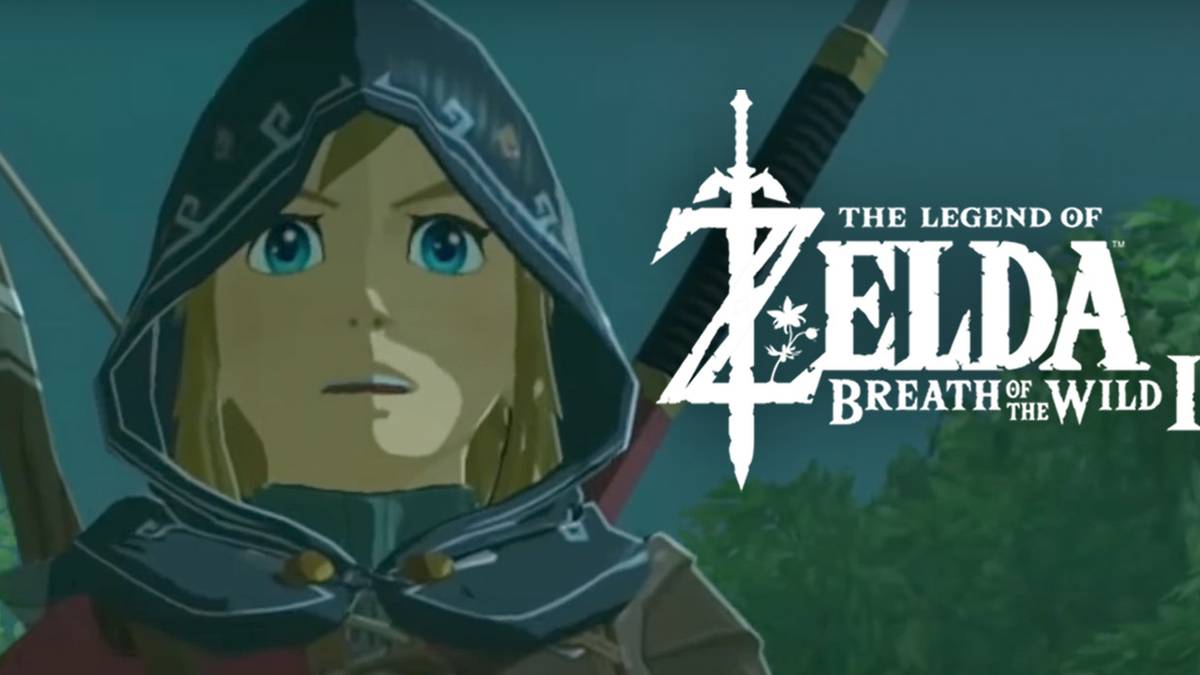 Breath Of The Wild 2 Link Shocked