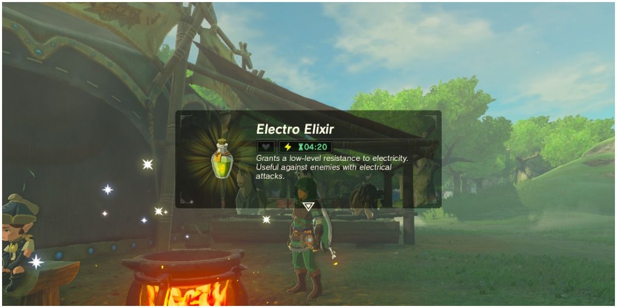 Screenshot of cooking item from Breath of the Wild