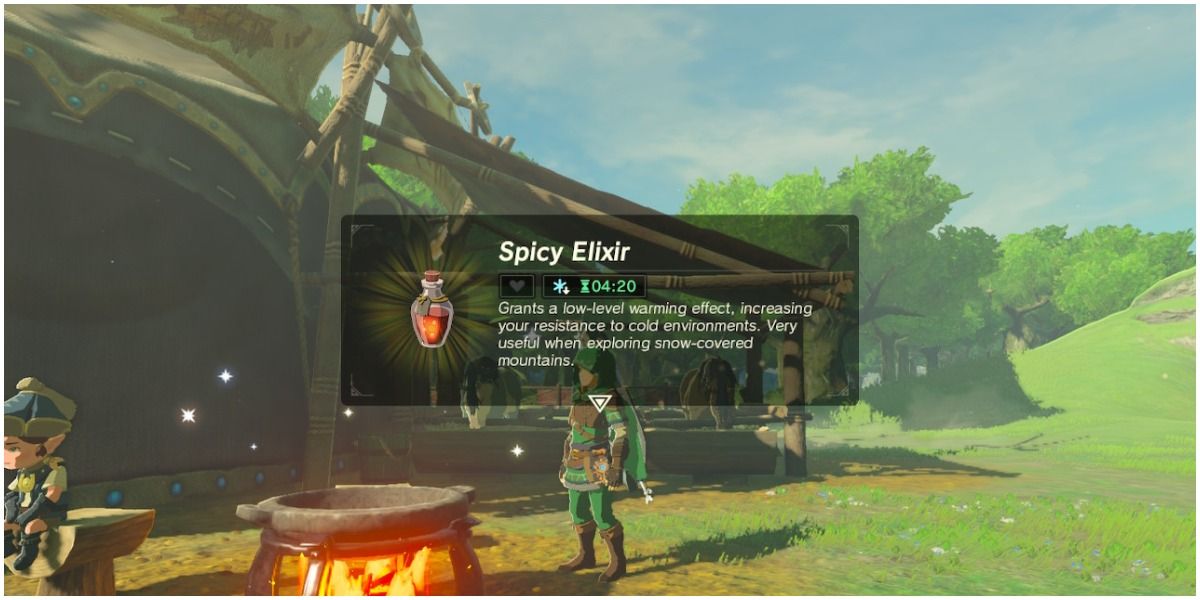 Screenshot of cooking item from Breath of the Wild