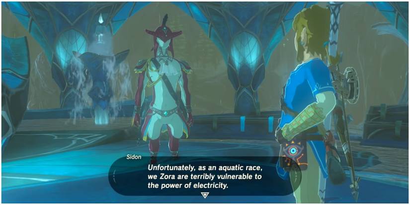 Screenshot of Link and Sidon from Breath of the Wild