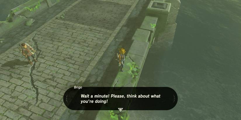 Brigo in BotW