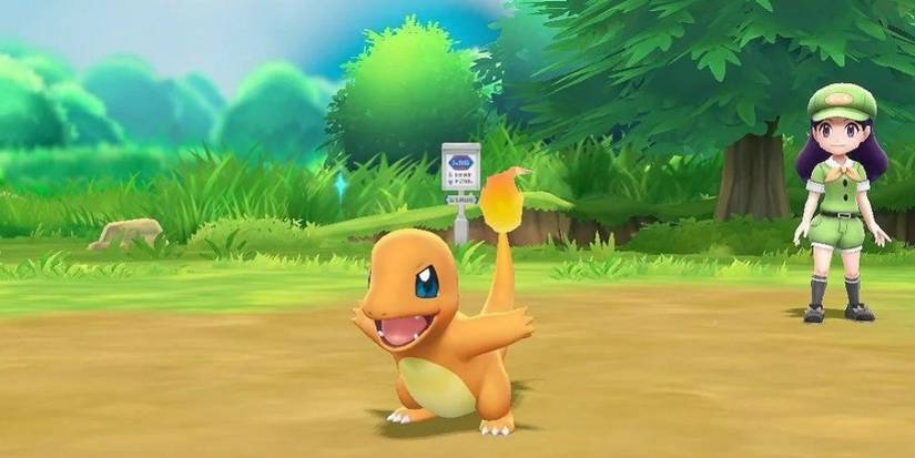 Pokémon Charmander Battles In A Field
