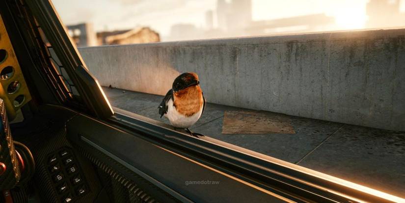 Cyberpunk 2077 Panam Ending Robin's Appearance