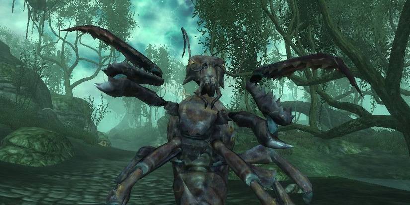 Elytra Shivering Isles