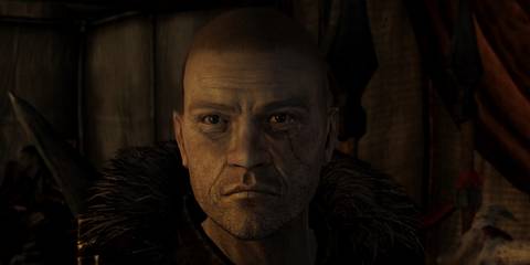 Fallout Character Overhaul Mod For Fallout New Vegas