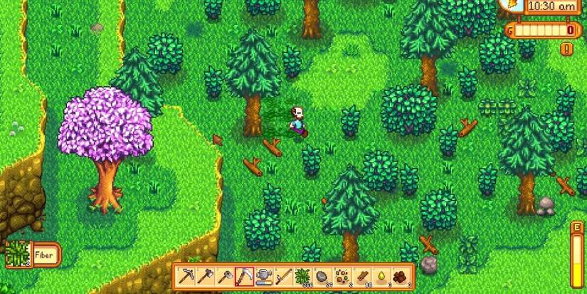 Fiber Stardew Valley